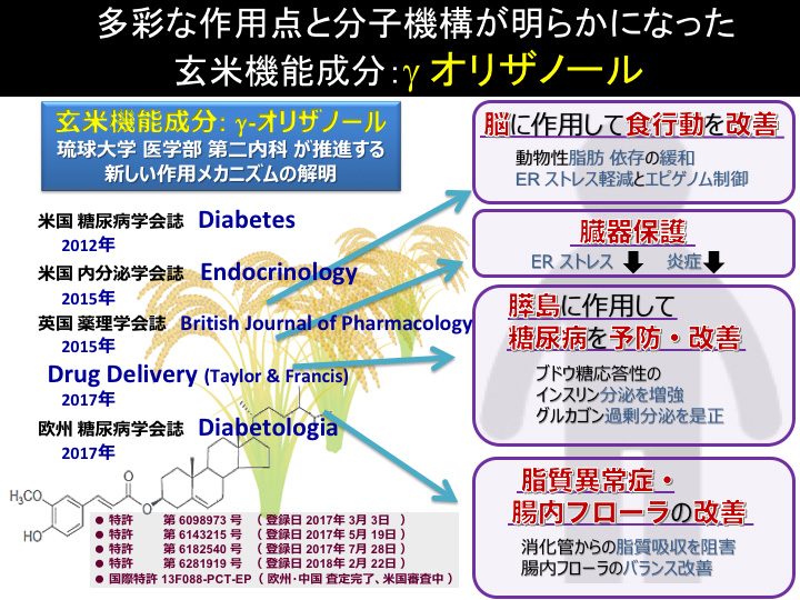 多彩な作用点と分子機構が明らかになった玄米機能成分：γ-オリザノール