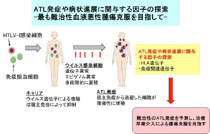 ATL発症や病状進展に関与する因子の探索 -最も難治性血液悪性腫瘍克服を目指して-